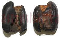 Shaligram 10741 75gm